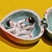 chinese erotic ceramics, wellcome collection, london