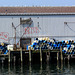 Barrels and gulls, Portland harbor