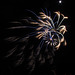 DHS Fireworks July 5 (0081)