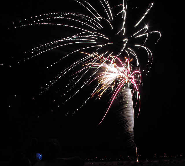 DHS Fireworks July 5 (0082)