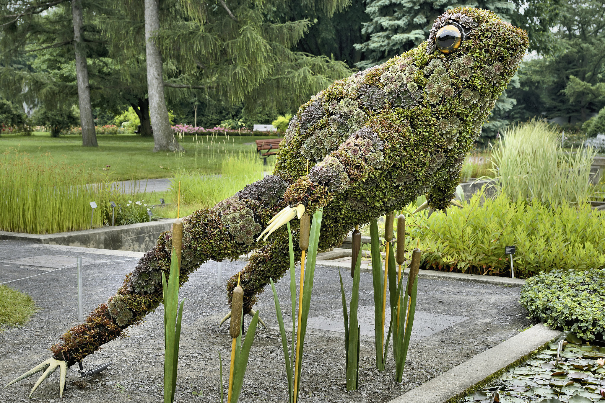Fragile Frogs #1 – Mosaïcultures Internationales de Montréal, Botanical Garden, Montréal, Québec