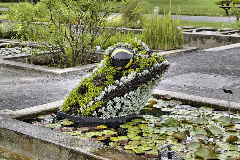 Fragile Frogs #3 – Mosaïcultures Internationales de Montréal, Botanical Garden, Montréal, Québec