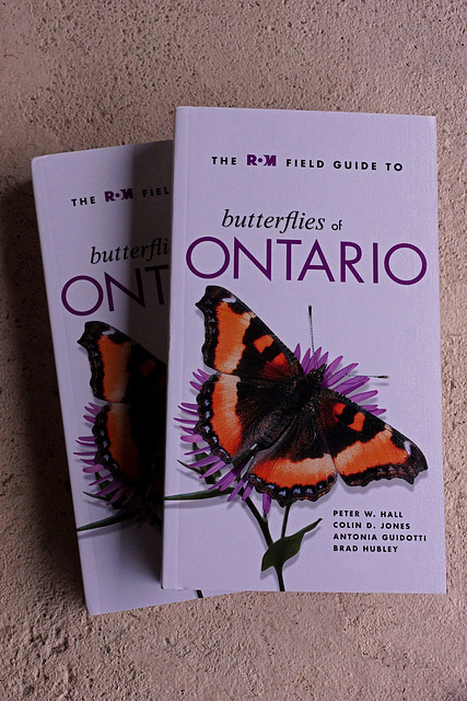 Butterflies Of Ontario