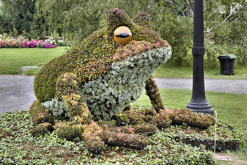 Fragile Frogs #4 – Mosaïcultures Internationales de Montréal, Botanical Garden, Montréal, Québec