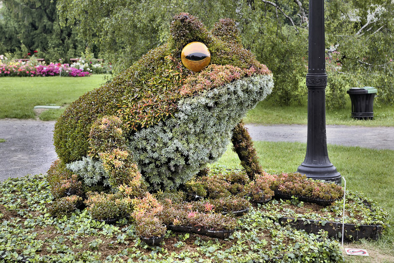 Fragile Frogs #4 – Mosaïcultures Internationales de Montréal, Botanical Garden, Montréal, Québec