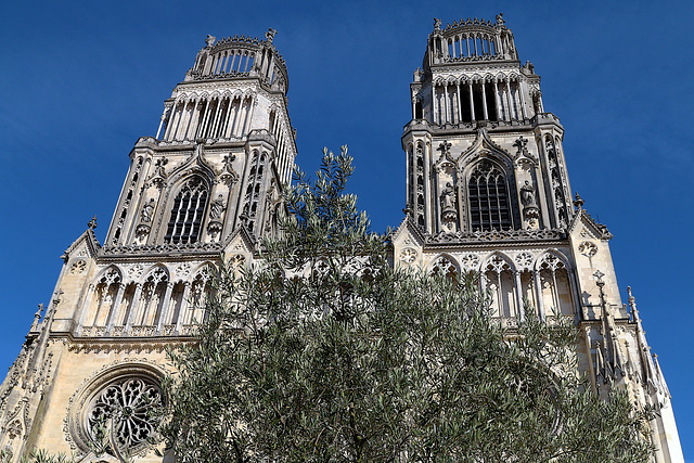 Cathédrale d'Orléans