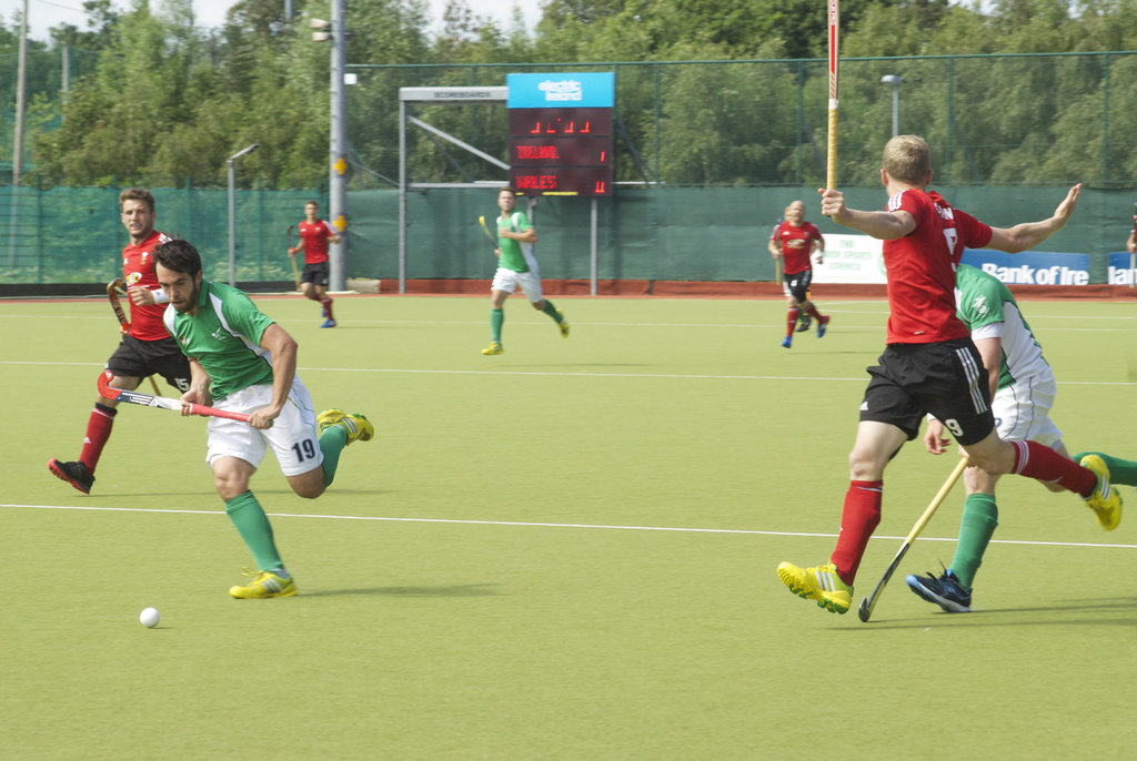Ireland vs Wales 280614