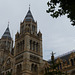 Natural History Museum (2) - 2 August 2014