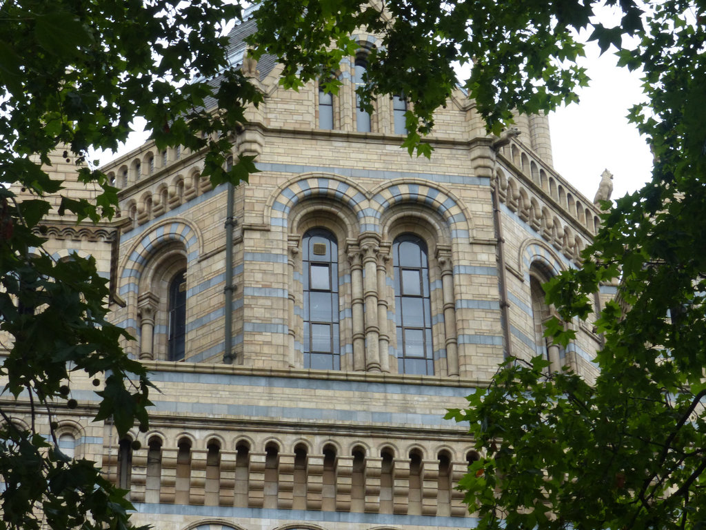 Natural History Museum (4) - 2 August 2014