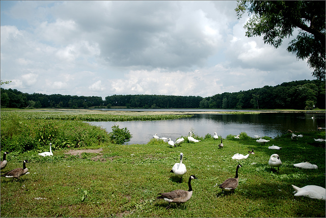 Wintergreen Lake