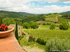 Greve in Chianti Tuscany Savignola Paolina Winery- 052814-008