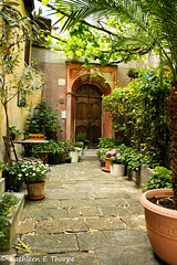 Lugano - Ticino courtyard - 060414-023