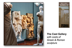 Cast Gallery - The Ashmolean Museum - Oxford - 24.6.2014