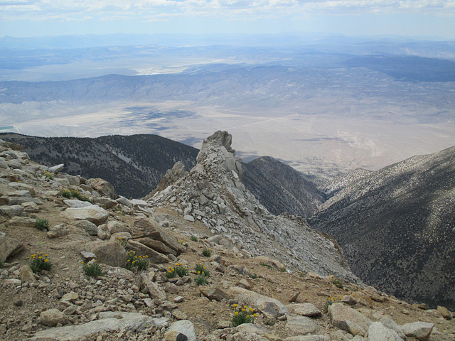 Boundary Peak 42