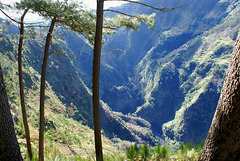 Tour: Funchal - Ostspitze - Curral das Freiras (Nonnental)  ©UdoSm