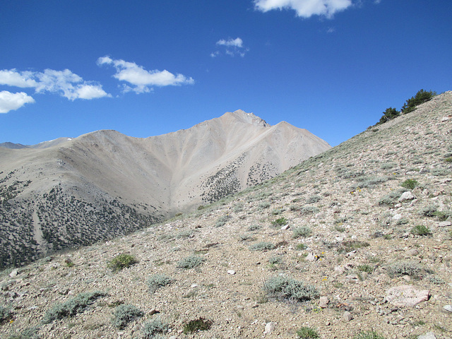 Boundary Peak 11