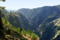 Tour: Funchal - Ostspitze - Curral das Freiras (Nonnental)  ©UdoSm