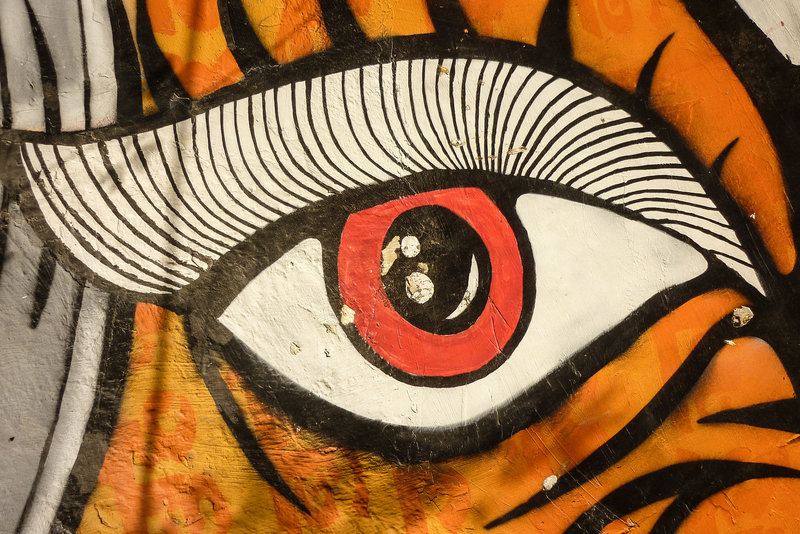 Third Eye