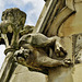 st.saviour's church, chalk farm, london