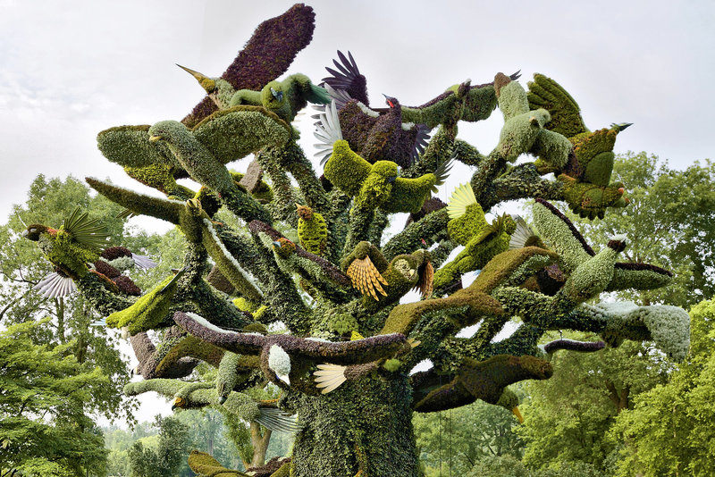 The Bird Tree #1 – Mosaïcultures Internationales de Montréal, Botanical Garden, Montréal, Québec