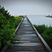 Marsh Pier across the Bay from Assateague Island