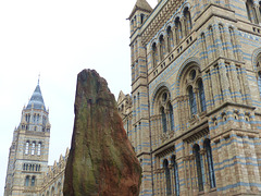 Natural History Museum (8) - 2 August 2014