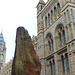 Natural History Museum (8) - 2 August 2014