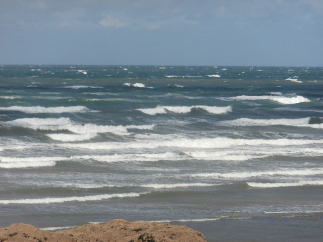 Waves starting to gather because of the wind