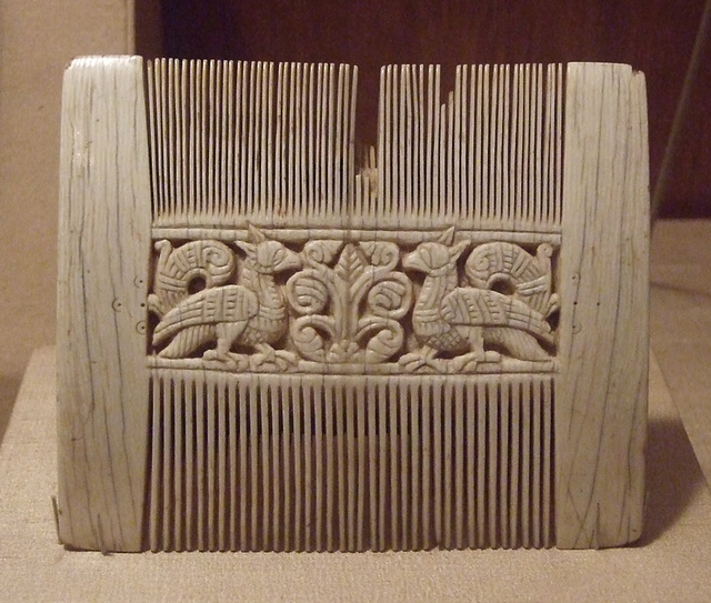 Liturgical Comb in the Cloisters, April 2012