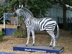 The Investec Zebra - 1 August 2014
