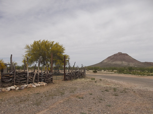 Scène arizonienne / Arid landscape.