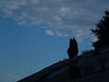 20140712 Fee Mt Baudille (9) al