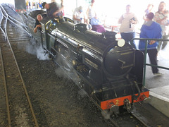 rhdr (1056)