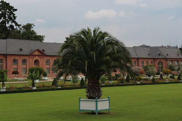 Botanischer Garten/Orangerie