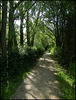 Fiddler's Island footpath