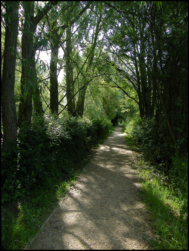 Fiddler's Island footpath