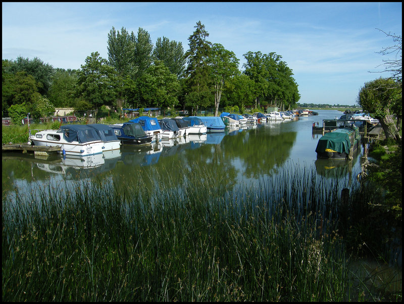 marina at Medley