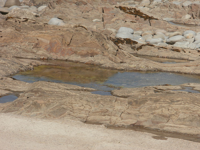Rock pool left behind by the sea