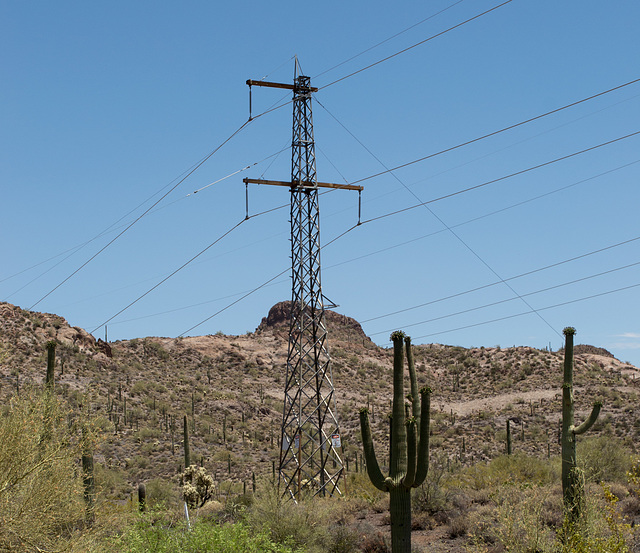 Apache Trail (1863)