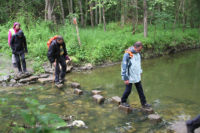 Randonnée 2014 - Gué sur l'Ancoeur - Bois des Bordes Chalonges