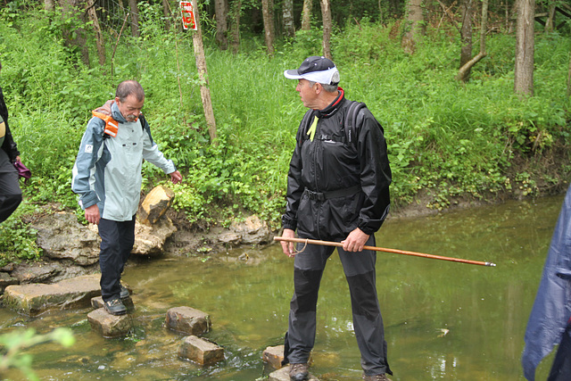 Randonnée 2014 - Gué sur l'Ancoeur - Bois des Bordes Chalonges