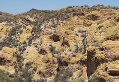 Apache Trail (1870)