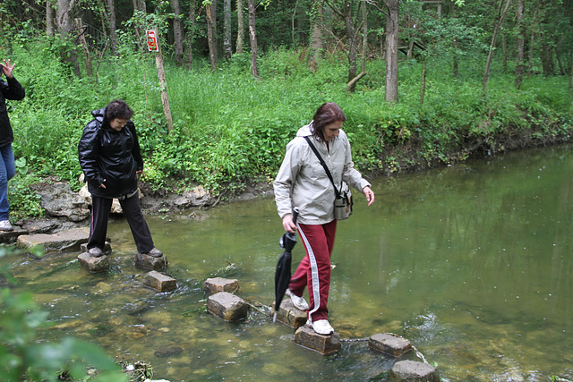 Randonnée 2014 - Gué sur l'Ancoeur - Bois des Bordes Chalonges