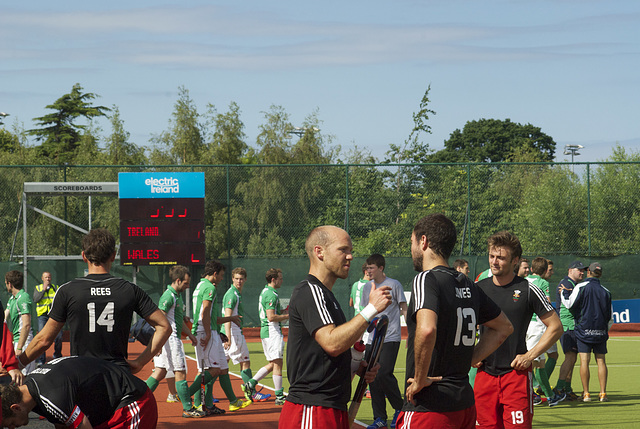 Ireland vs Wales 290614