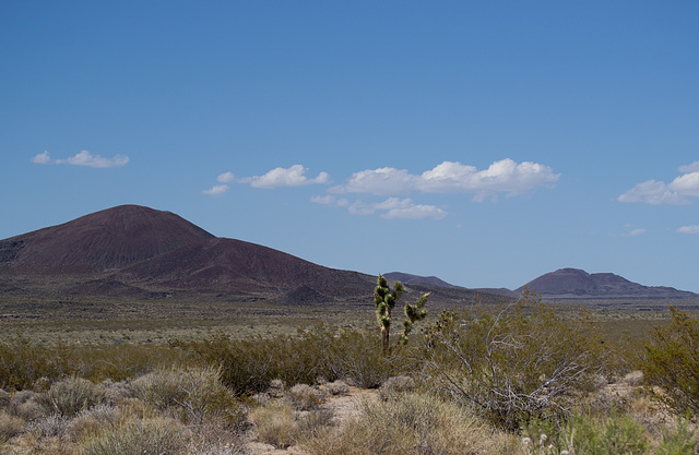 Mojave National Preserve lava (0014)