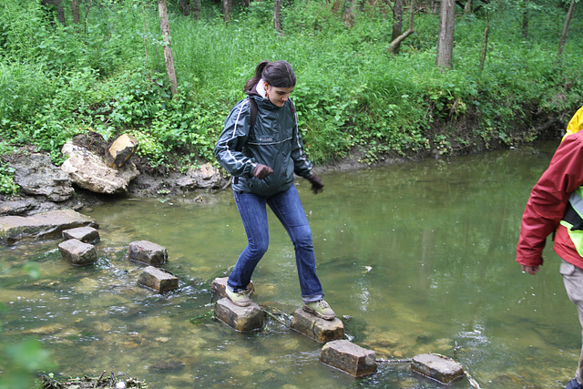 Randonnée 2014 - Gué sur l'Ancoeur - Bois des Bordes Chalonges