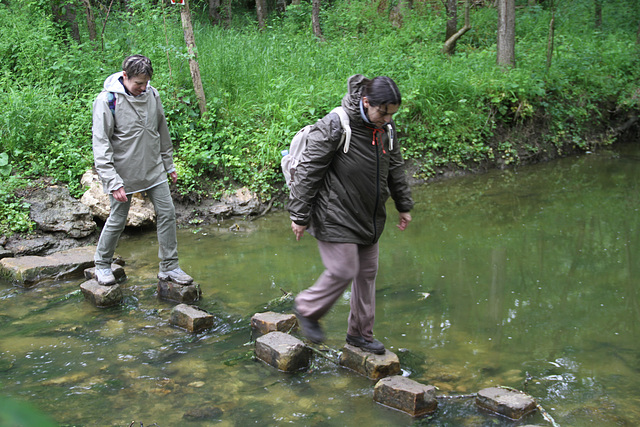 Randonnée 2014 - Gué sur l'Ancoeur - Bois des Bordes Chalonges