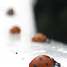 ... And More Ladybirds...