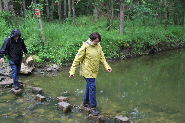 Randonnée 2014 - Gué sur l'Ancoeur - Bois des Bordes Chalonges