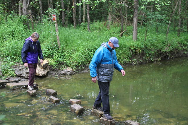 Randonnée 2014 - Gué sur l'Ancoeur - Bois des Bordes Chalonges